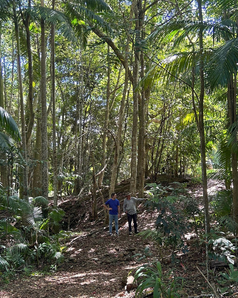 Charlie Albone Better Homes and Gardens Brookfarm Will Martin Pam Brook