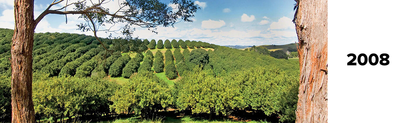 Brookfarm Farm in 2008