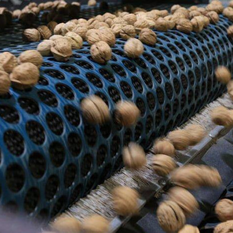 Fall in love with the Aussie walnut...we have! - Brookfarm