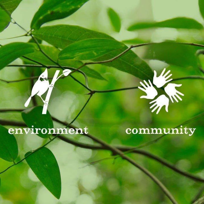 Road to Recyclability - Reflections of change - Brookfarm