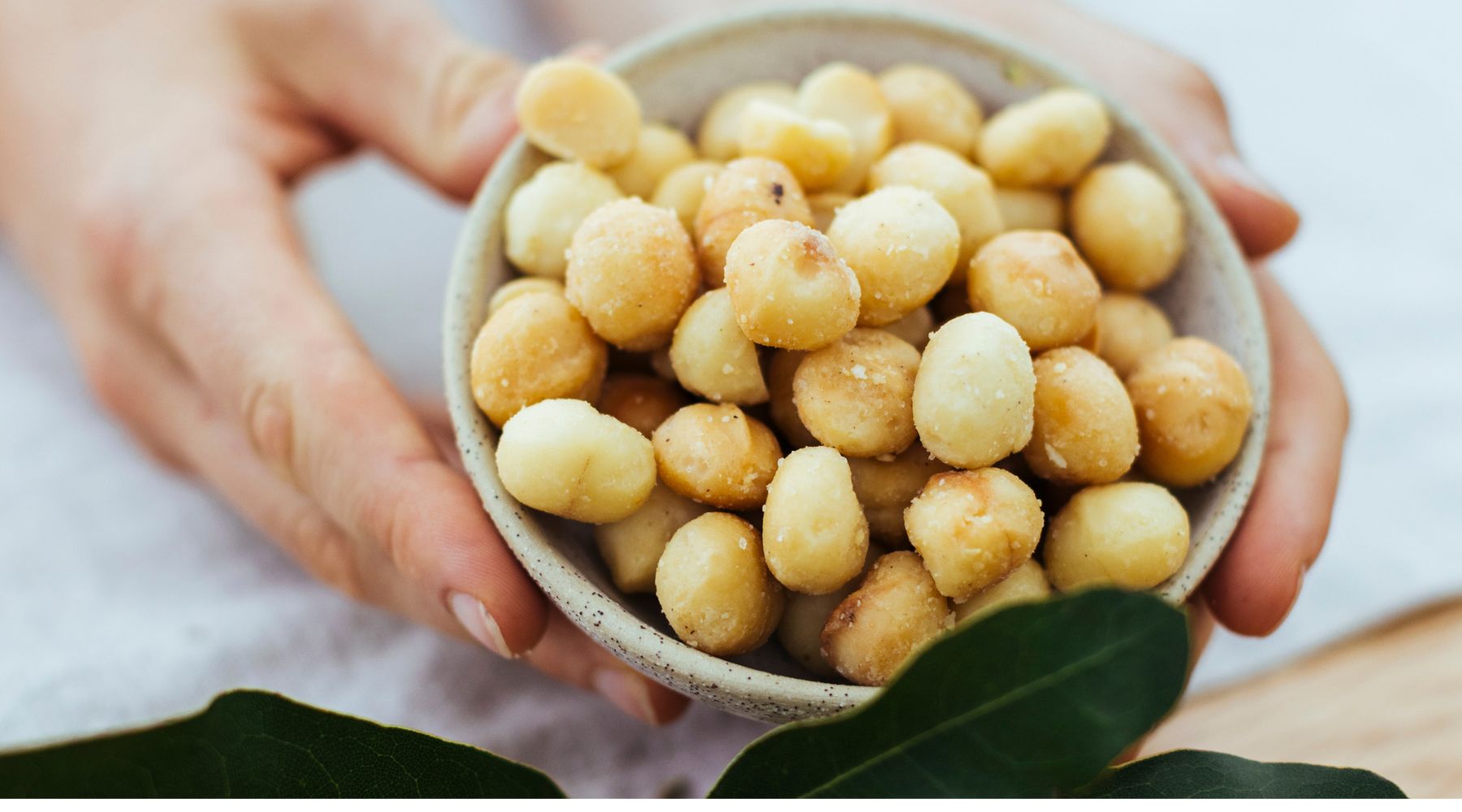 Macadamias