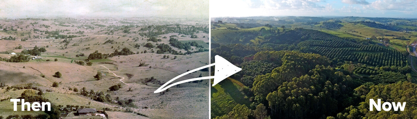 Brookfarm Farm Then and Now Image