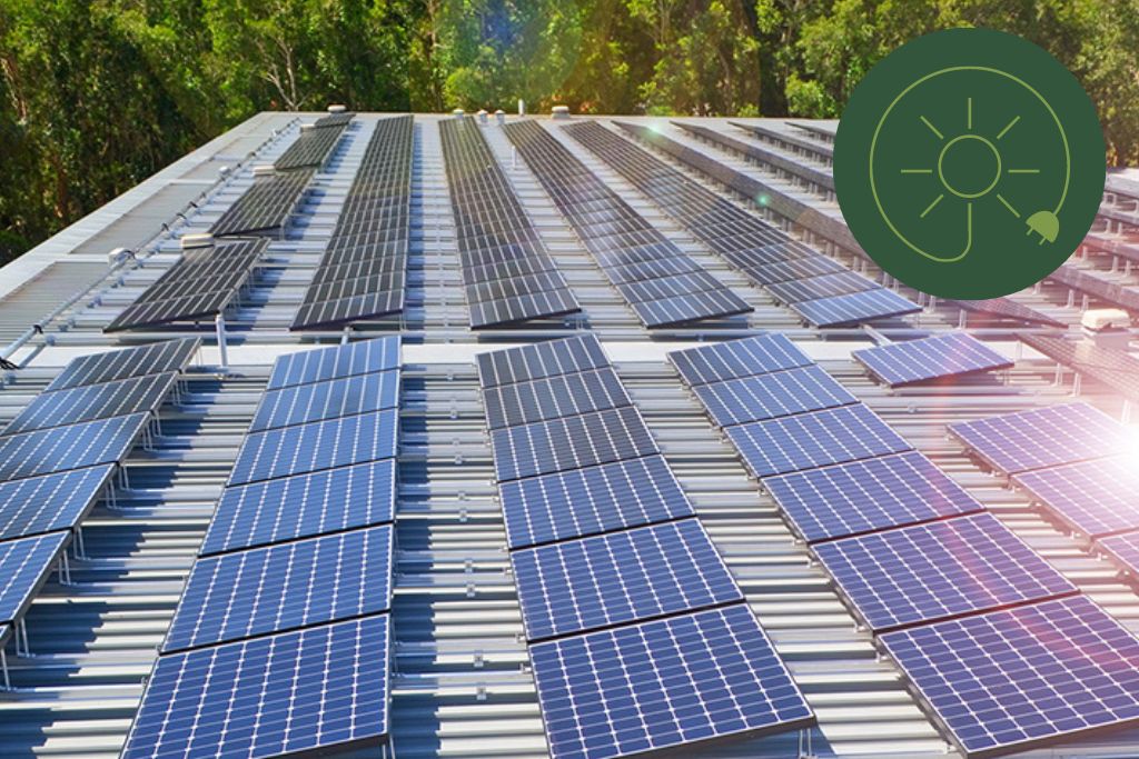 Reducing Landfill waste Social Responsibility Brookfarm