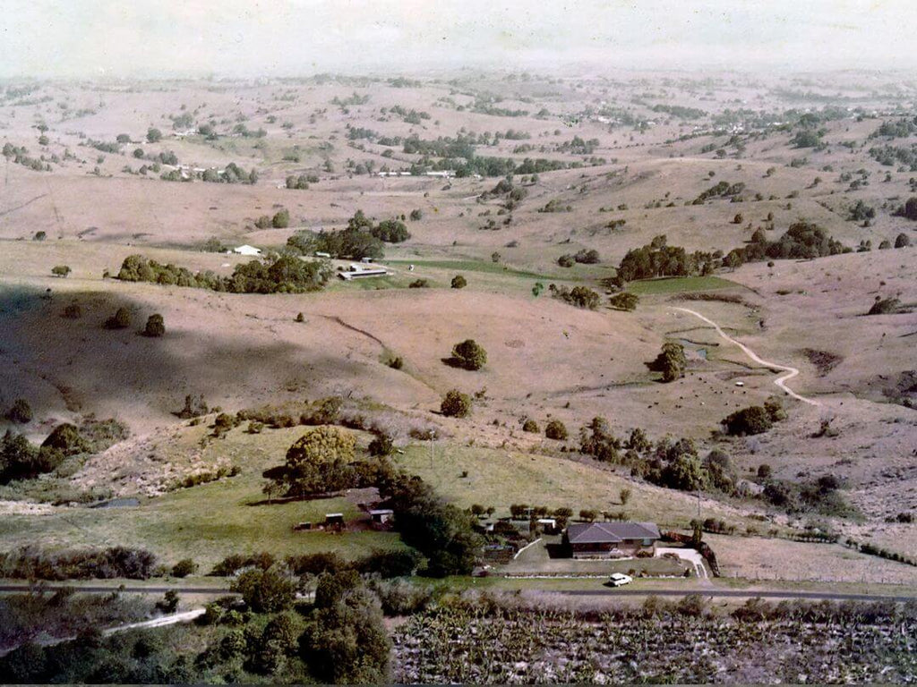 Brookfarm Story History Sustainability Rainforest Regeneration Australian Muesli Before