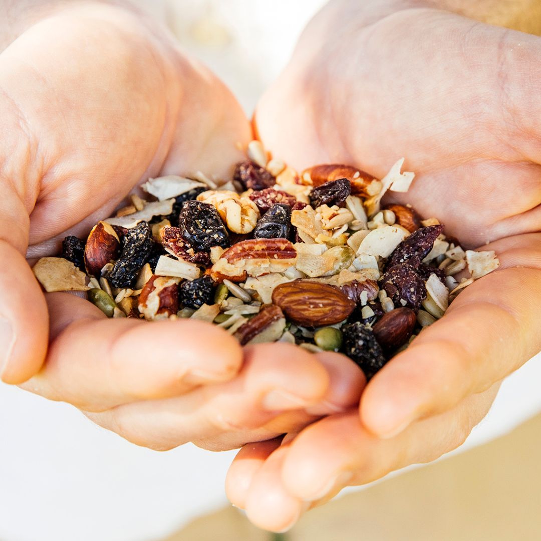 Explorer Brothers Blend