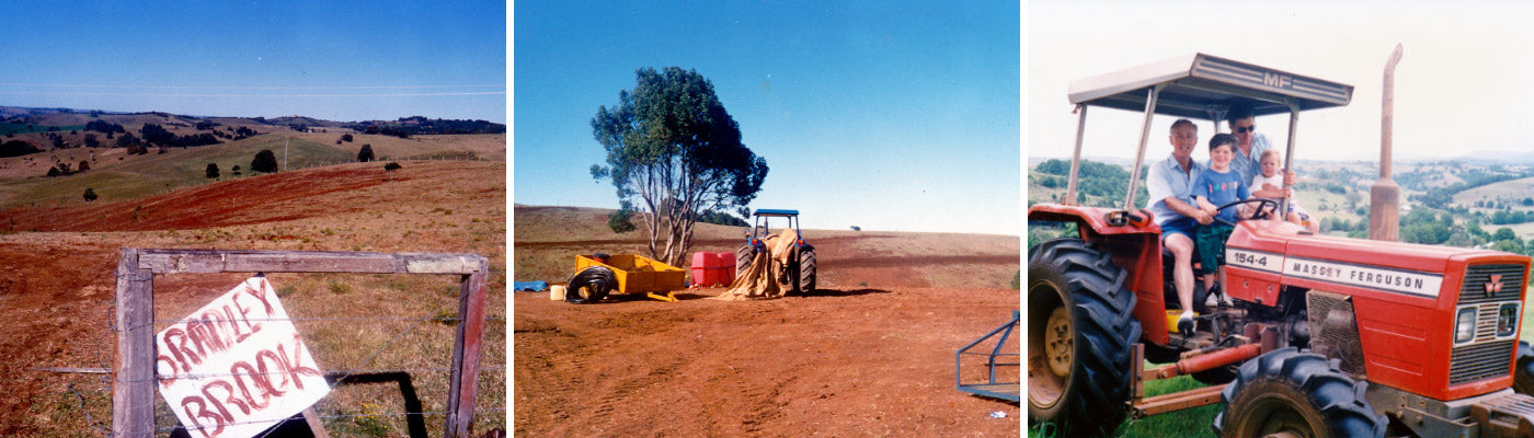 Brookfarm Farm and Family Photos