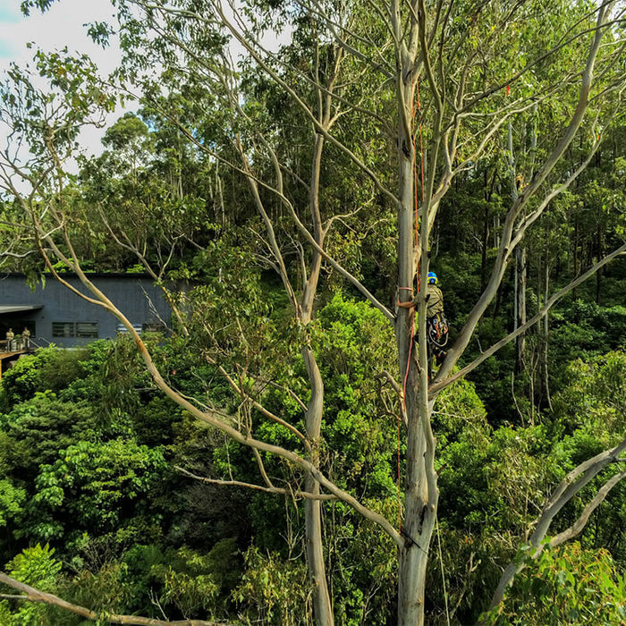 Wildlife habitat boxes installed at Brookfarm farm